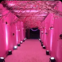 Alagundagi Event's Decoration