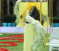 Wedding Event Recent Post